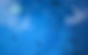 pgvector标准操作流程指南